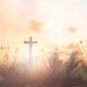 Love, Support & Prayers