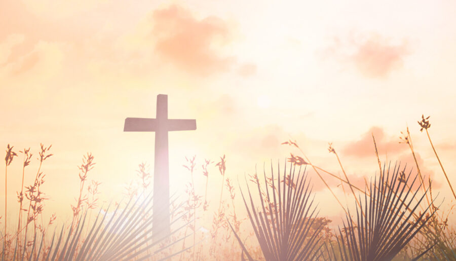 Love, Support & Prayers
