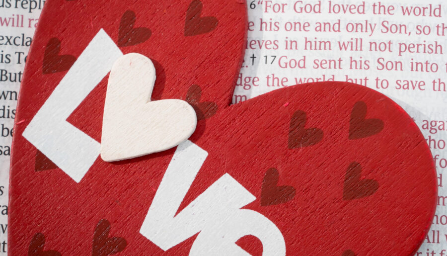 Love In Every Season